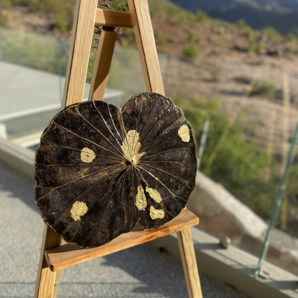 Black Lotus Leaf 40 cm