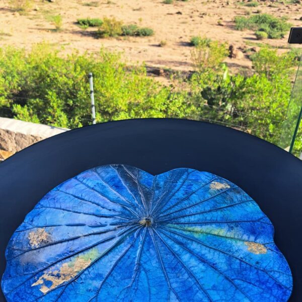 Blue Lotus Leaf 36 cm